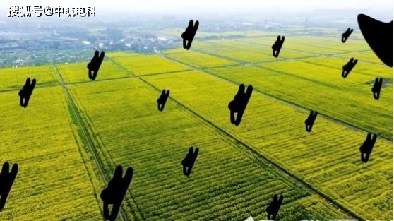农间狗皮膏药,经历了一个循环体系还甩不掉?是你!农残! 农间狗皮膏药,经历了一个循环体系还甩不掉?是你!农残!
