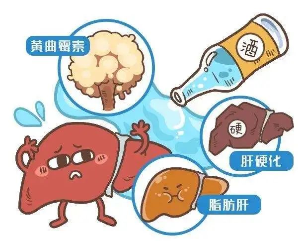 可以每6个月做一次腹部b超检查,以及血清甲胎蛋白检查;2)若是40岁以