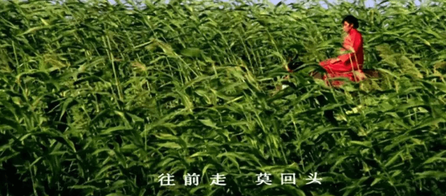 方收|冯小刚：就这样和张艺谋拉开了差距，一个是靠自己，一个是靠贵人？？