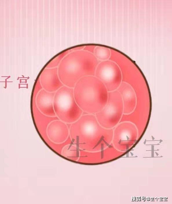 孕早期流血症状,原因分析及应对措施_对策_宫颈_褐色