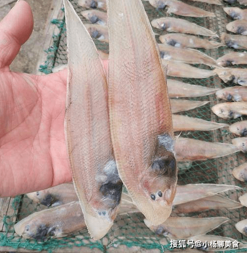 【蒜蓉龙利鱼】食材:龙利鱼,金针茹,蒜,小米辣,青椒1,先把龙利鱼清洗