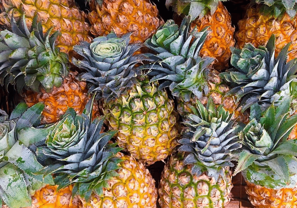 百合|明日春分，再忙也别忘吃“3菜3果3芽”，应季而食，助你安然度春