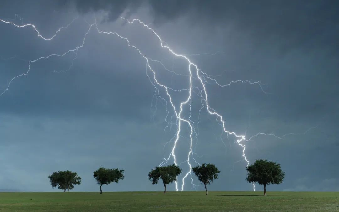 春分物候特点与习俗这些你都知道吗