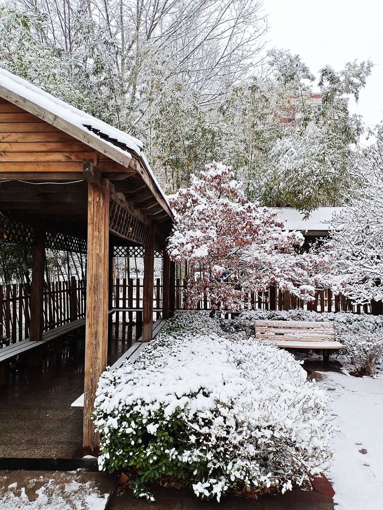 下集|一场雪，让这里的春天真美