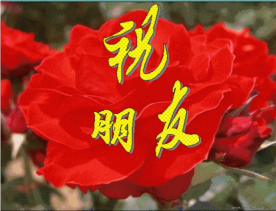 原创不用打字就可以聊天的早上好表情图片创意好看的春日早安问候祝福
