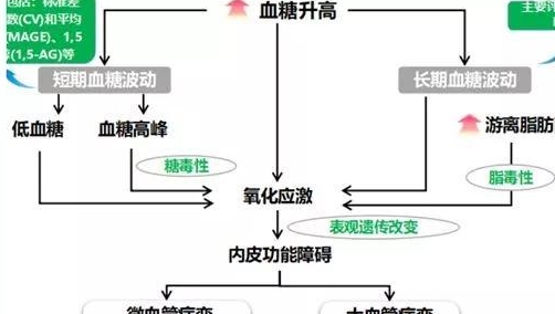 并发症|糖尿病血糖波动大，并发症来得早，要怎么避免血糖波动？