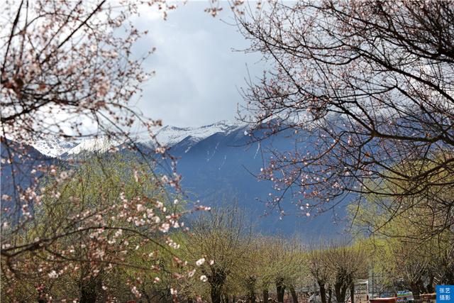 西藏|西藏巴松措风景如画，湖中央有座距今1500年空心岛，有小瑞士之称