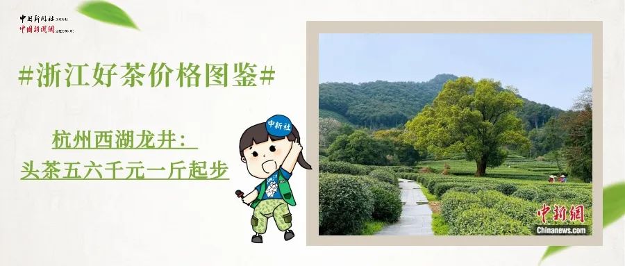 茶园|明前茶贵如金？！西湖龙井今年多少钱一斤？浙江好茶价格图鉴来了！