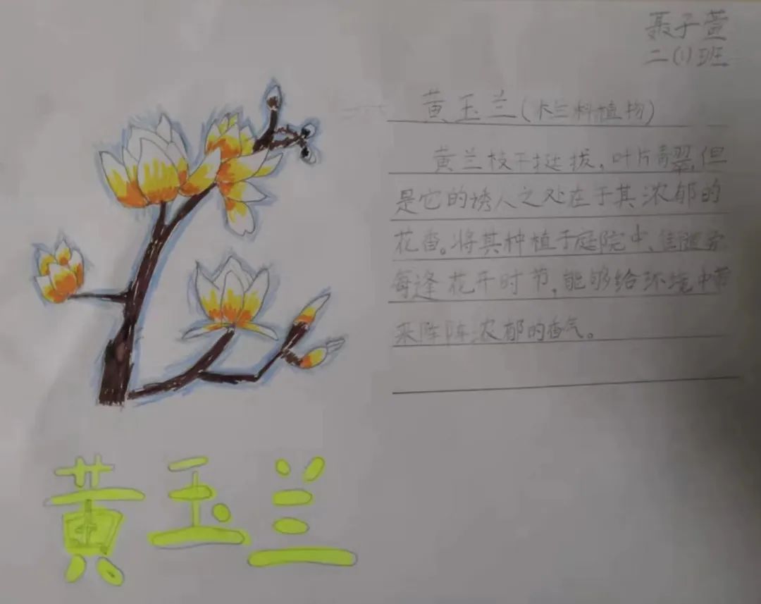 寻觅春分中的智慧濮阳市昆吾小学二十四节气主题课程之春分篇