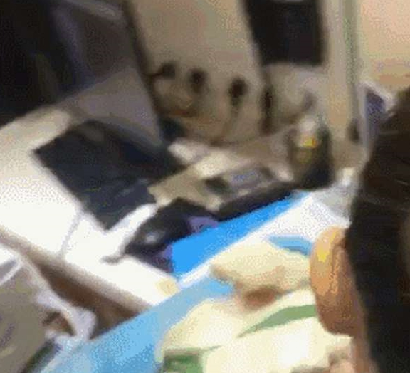 因为50块买的小土狗，翻出古书对照，发现自己要发财了！