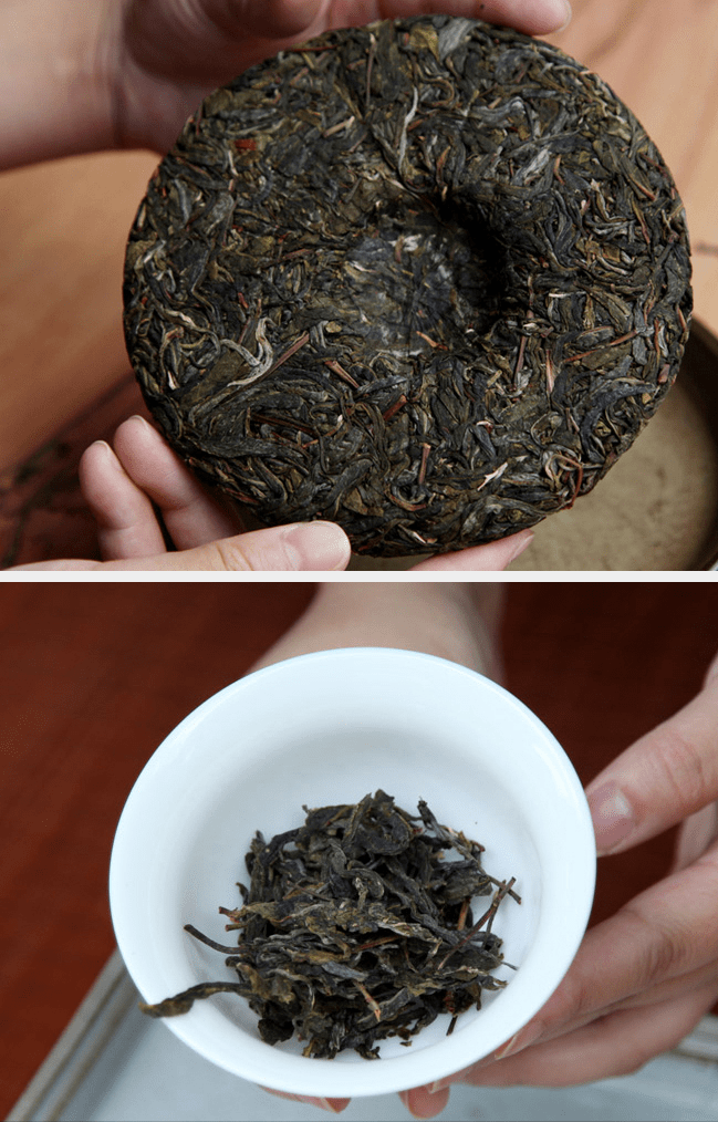 原创不被定义的昔归茶云南高山茶里的孤勇者冰糖甜韵独绝