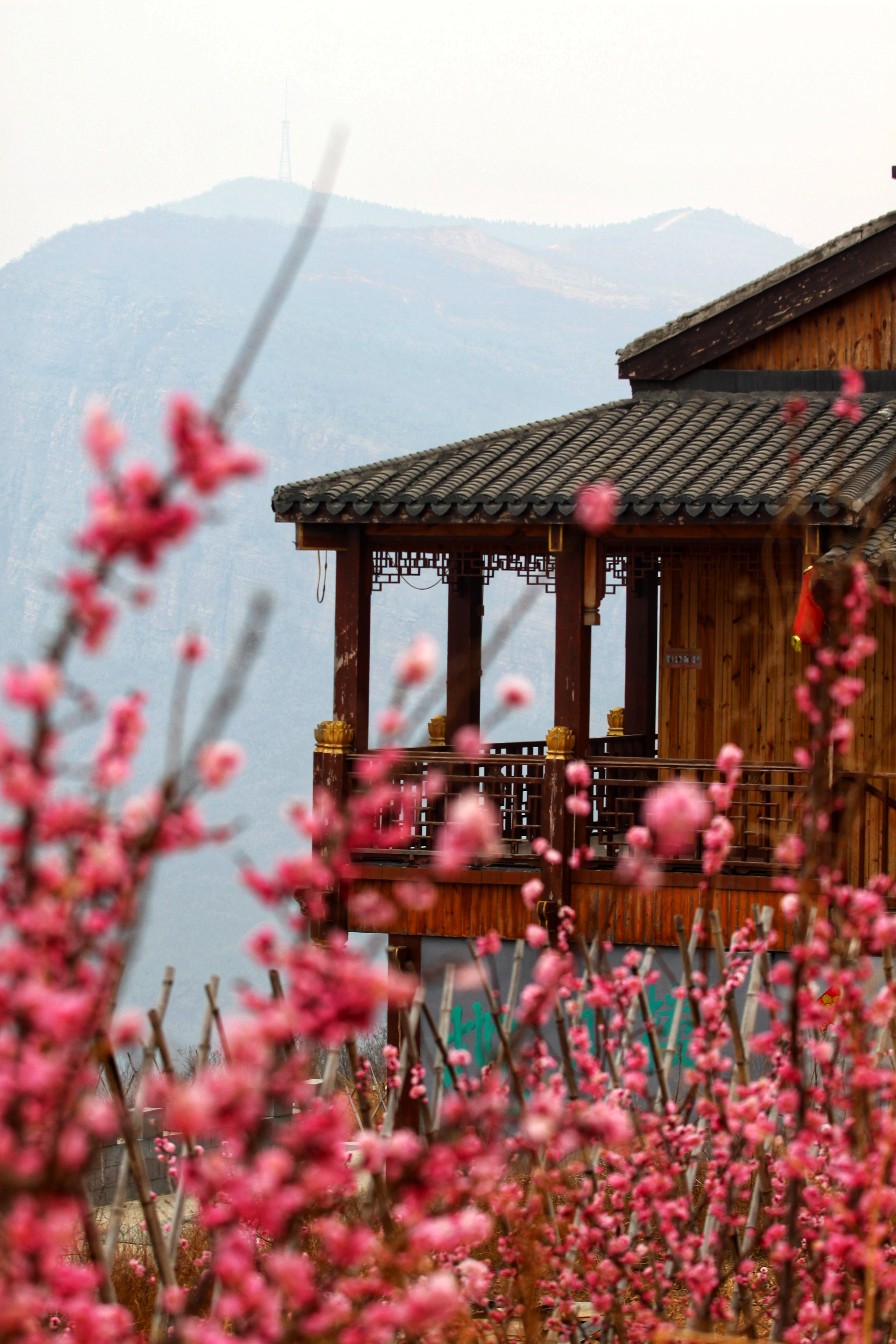 邢台金泉山旅游景点图片