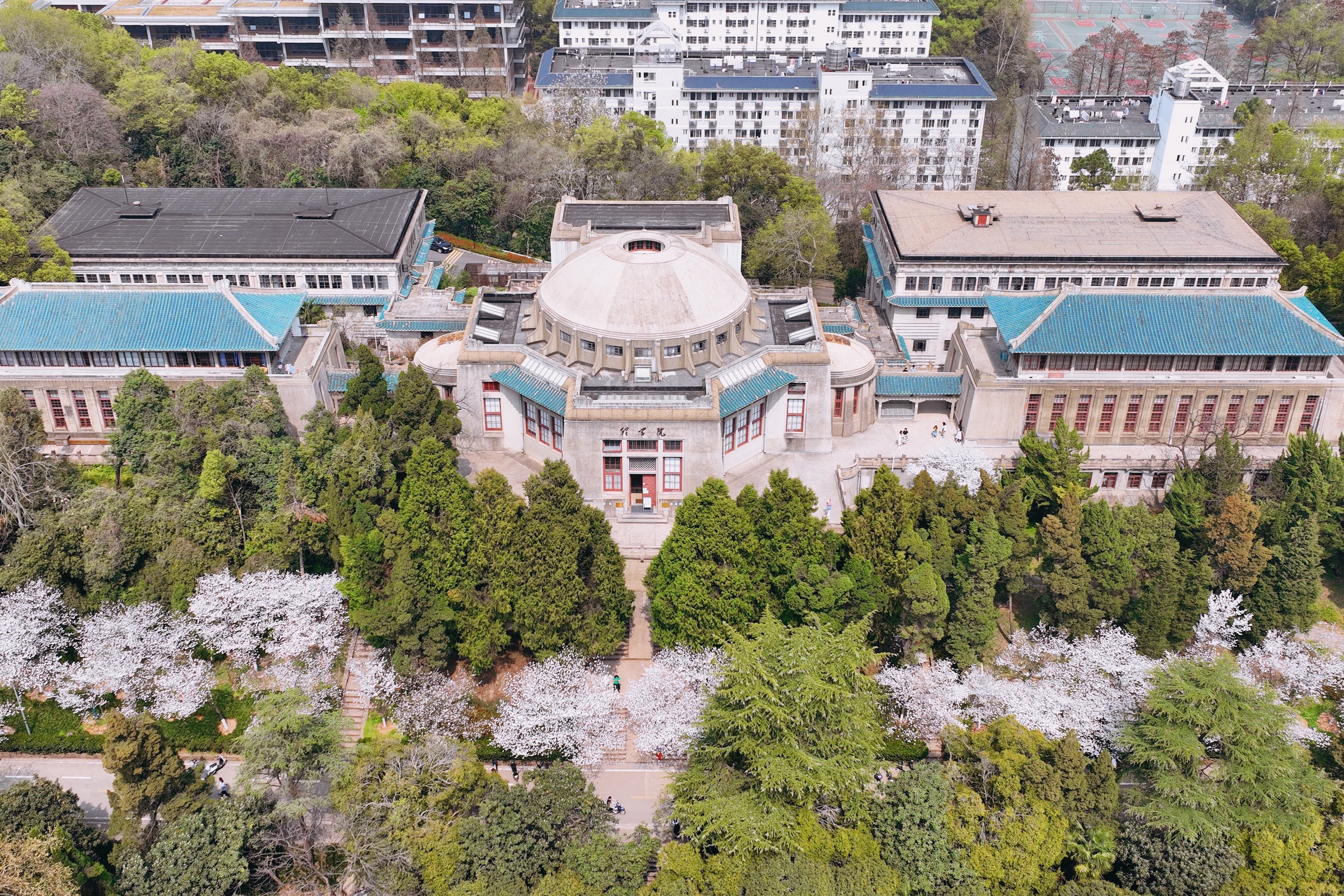 建筑|武汉大学樱花盛开，这座百年学府充满了静谧和唯美，宛如童话世界