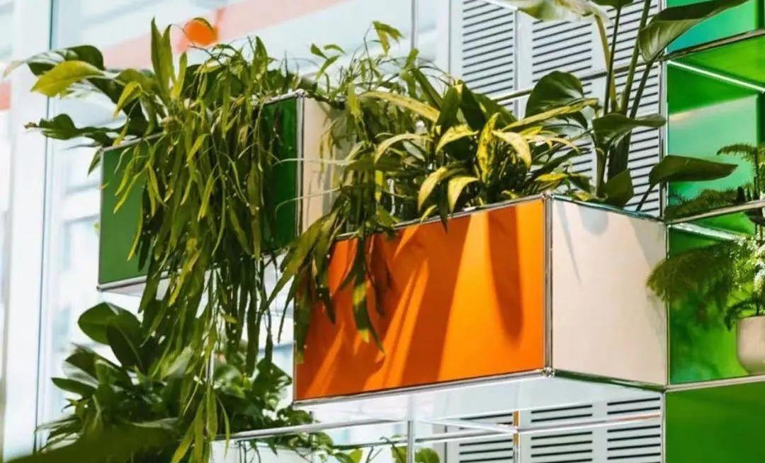 别墅|鹿晗北京8千婚房曝光!600㎡独栋别墅,关晓彤乐坏了吧