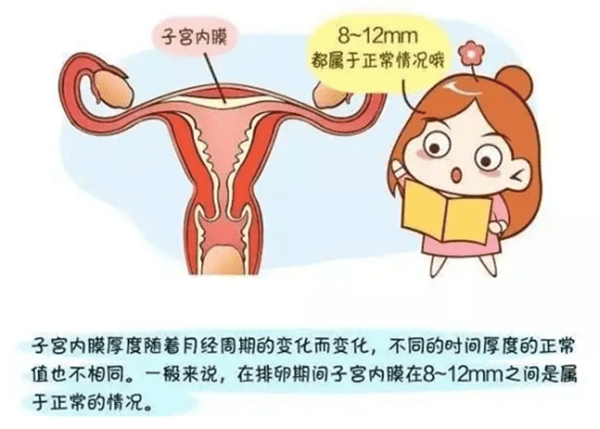 c25d274fc36345ac9dca69eb47cef3cc.png