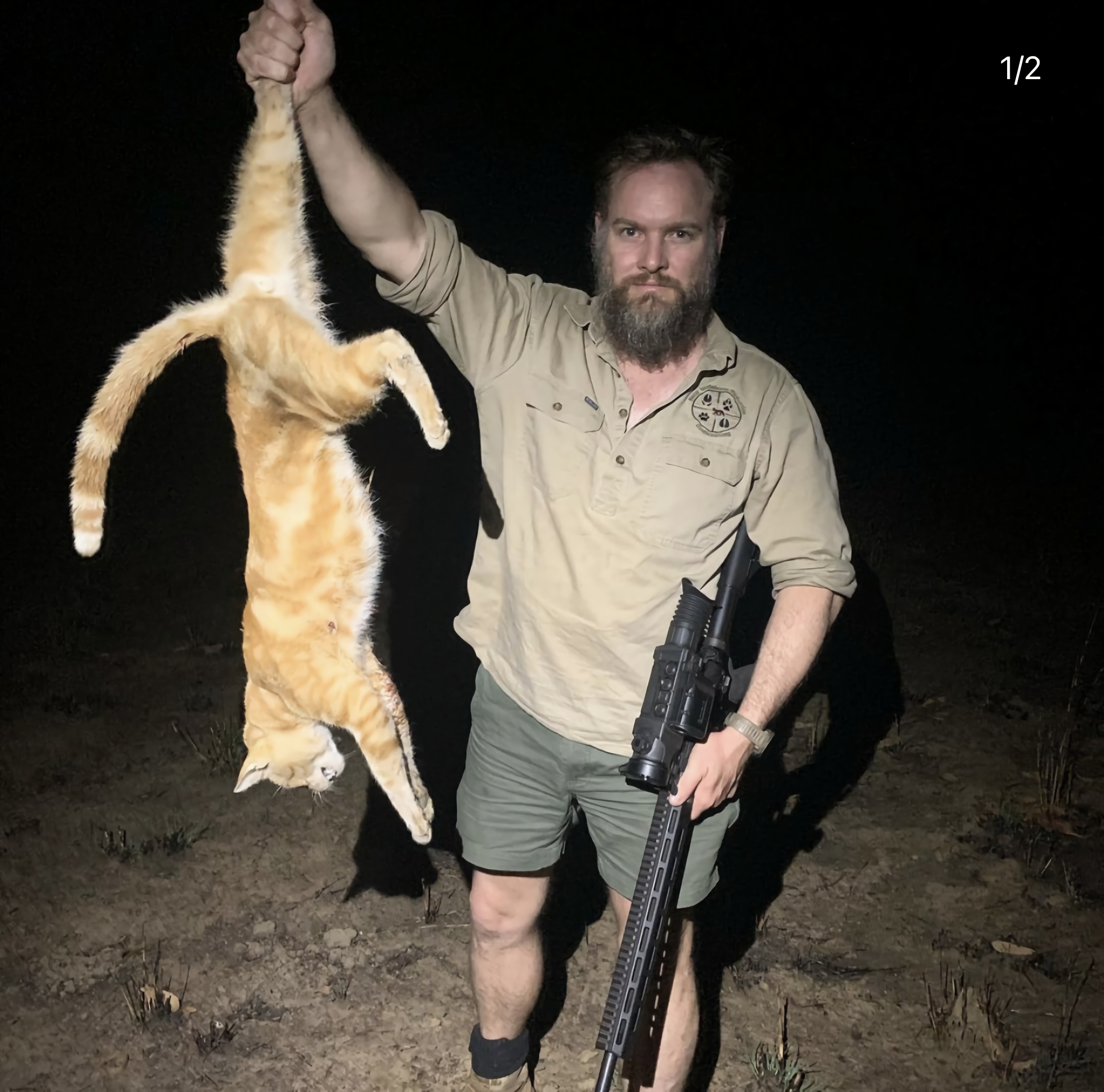 澳洲向猫宣战重34斤袋鼠也是它的食物为杀猫空投毒香肠