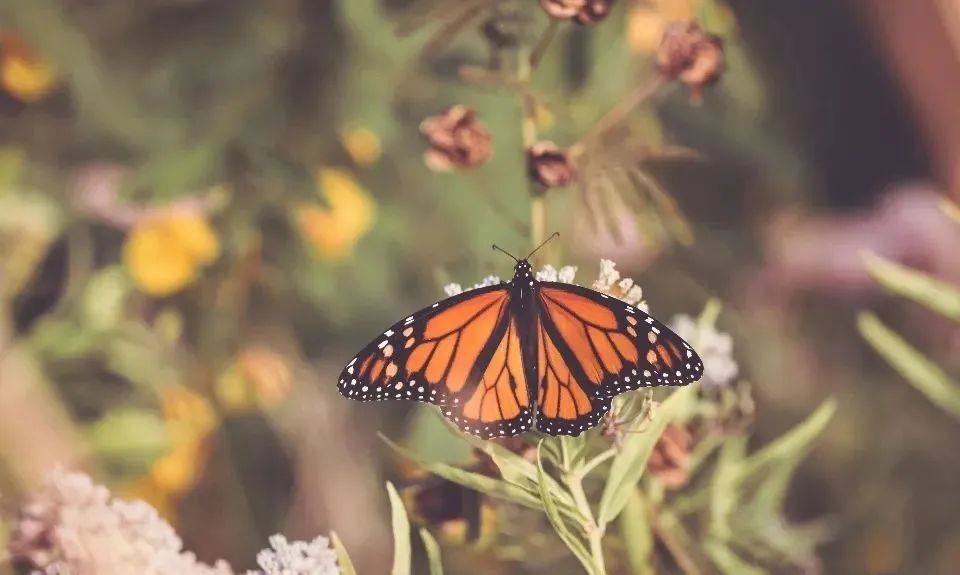 工信部表态支持智能家电消费,市场能否扬帆起航?-家电圈官网