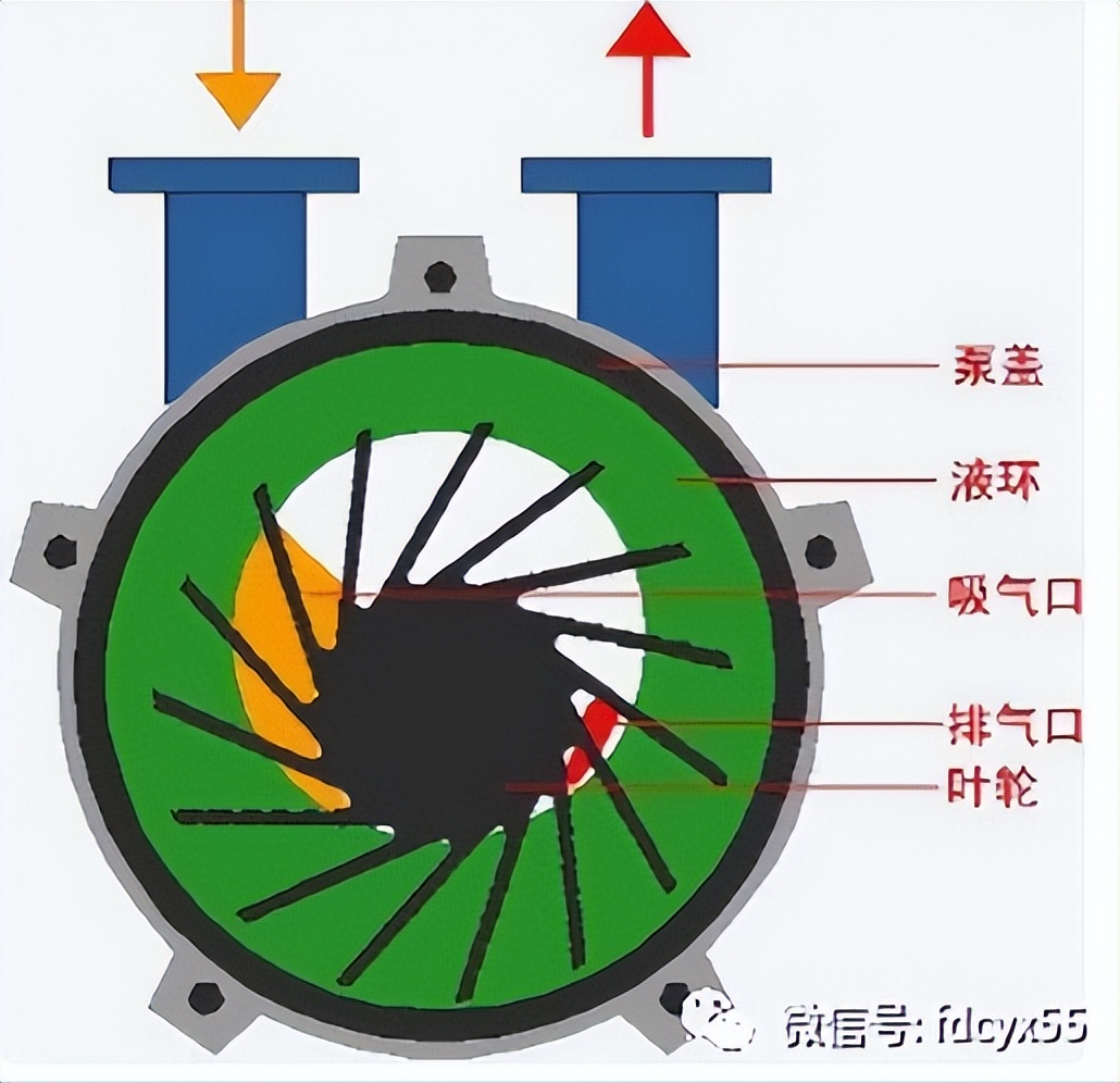 分享學習水環式真空泵的工作原理及特點