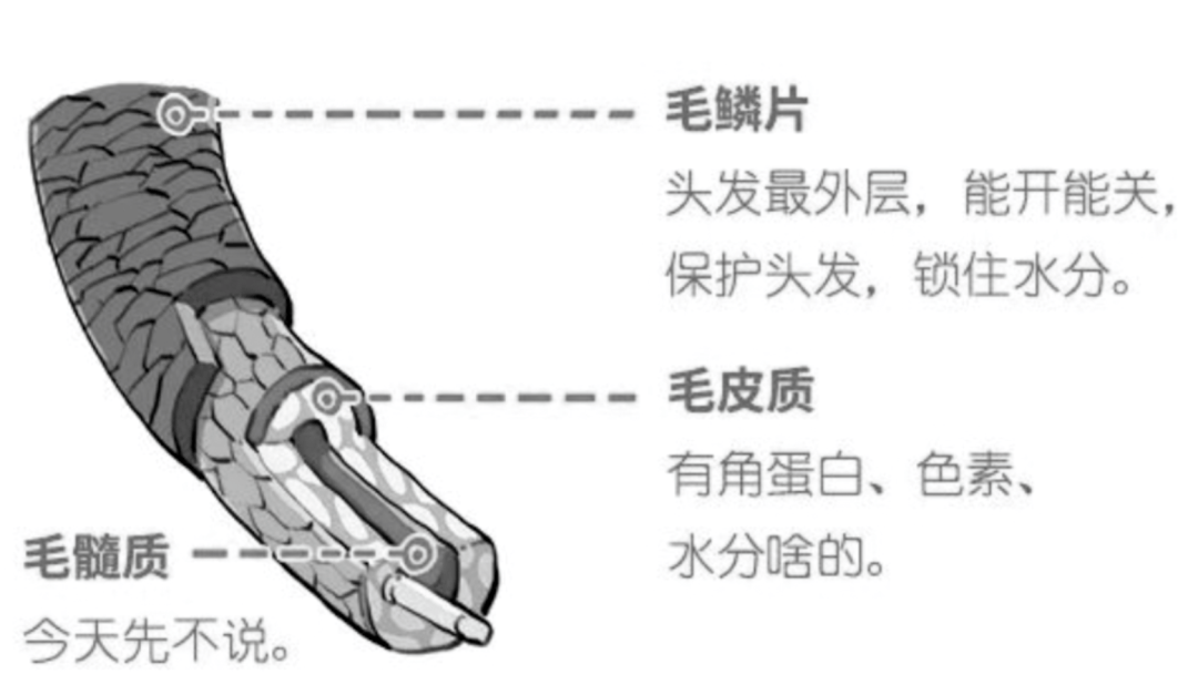 洗头脱发之前必看！