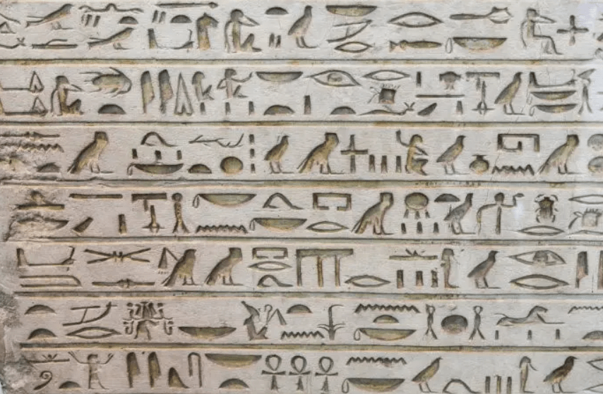 世间生物进化_世界生物进化史_世间进化生物有哪些