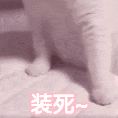 大象老虎屁屁摸不得，但ta的可以，不过不能贪摸哦！