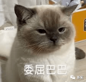 因为安妮海瑟薇是怎么回春的？