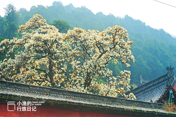 很难想象，西安坐公交车可以到的秦岭古寺，藏着绝美风景