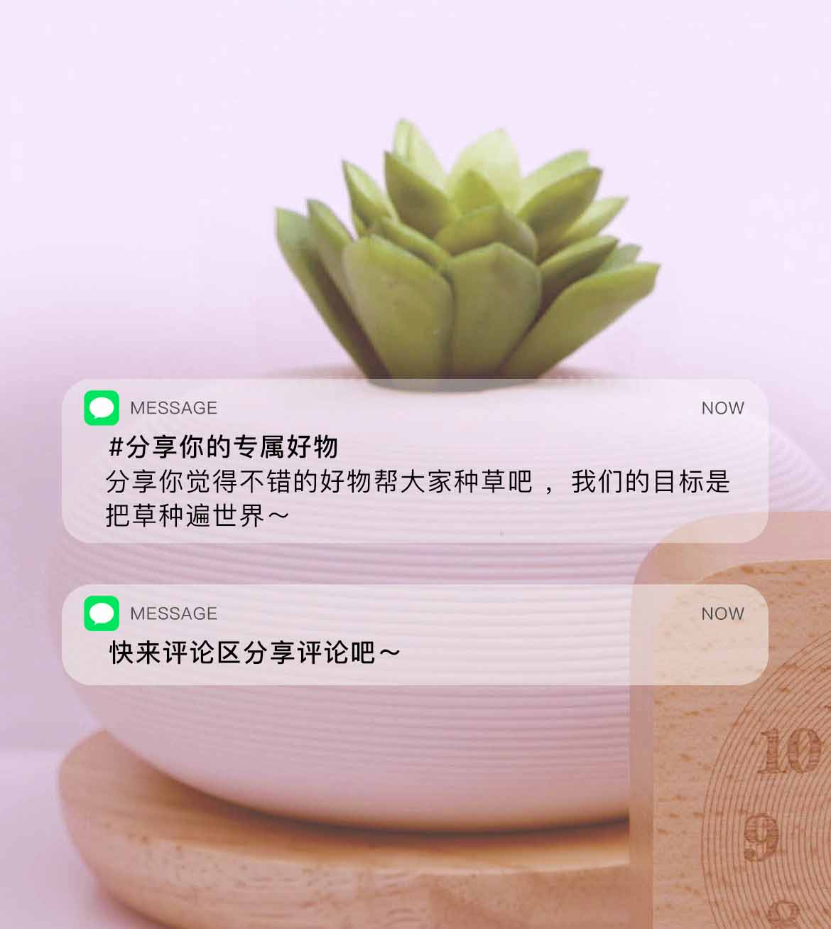 时刻赞伴|小时刻：分享你的专属好物