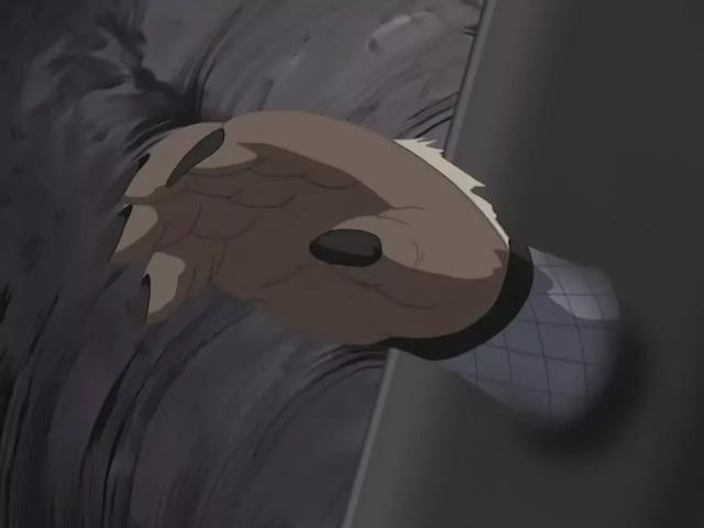 效果|火影：阿斯玛为什么没有继承三代的通灵兽？