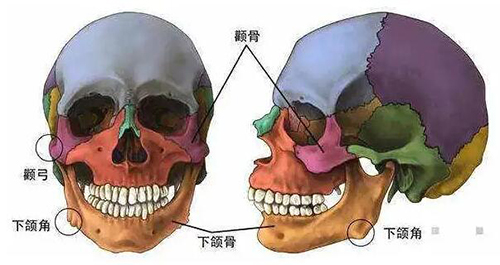 手术联合丽格何照华教授：颧骨颧弓和下颌角手术可以一起做吗？