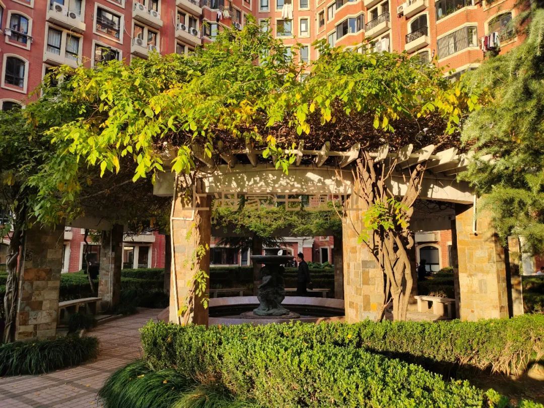 徐汇向阳小学学区房梧桐花园建面107平2房售价1650万