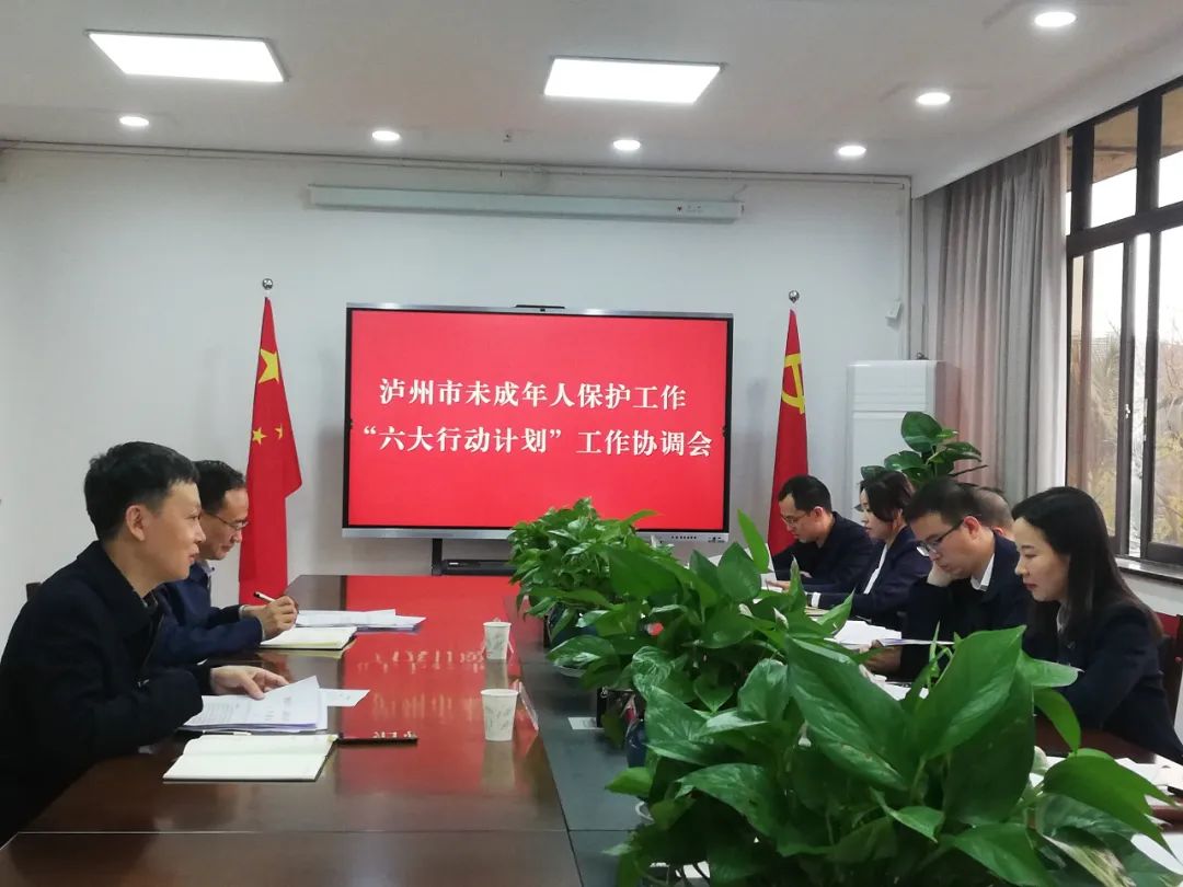 泸州市召开未成年人保护工作协调会