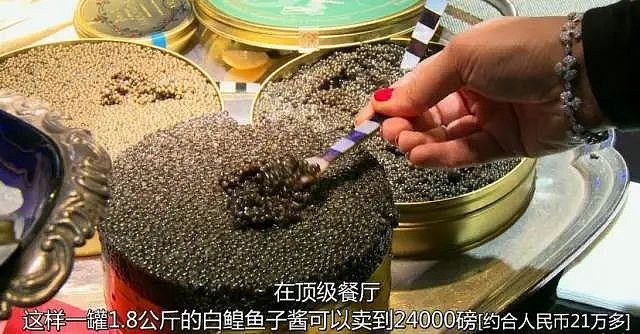 原创
西方餐厅的顶级食材,被中国人干到了“白菜价”