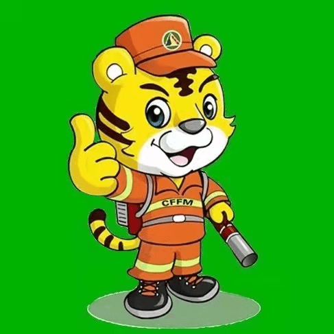 课堂上,可爱的虎威威一上线,孩子们就被吸引住了.