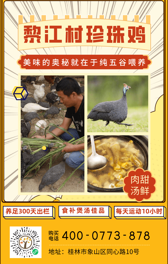 黎江村珍珠鸡三大基本吃法推荐(一)