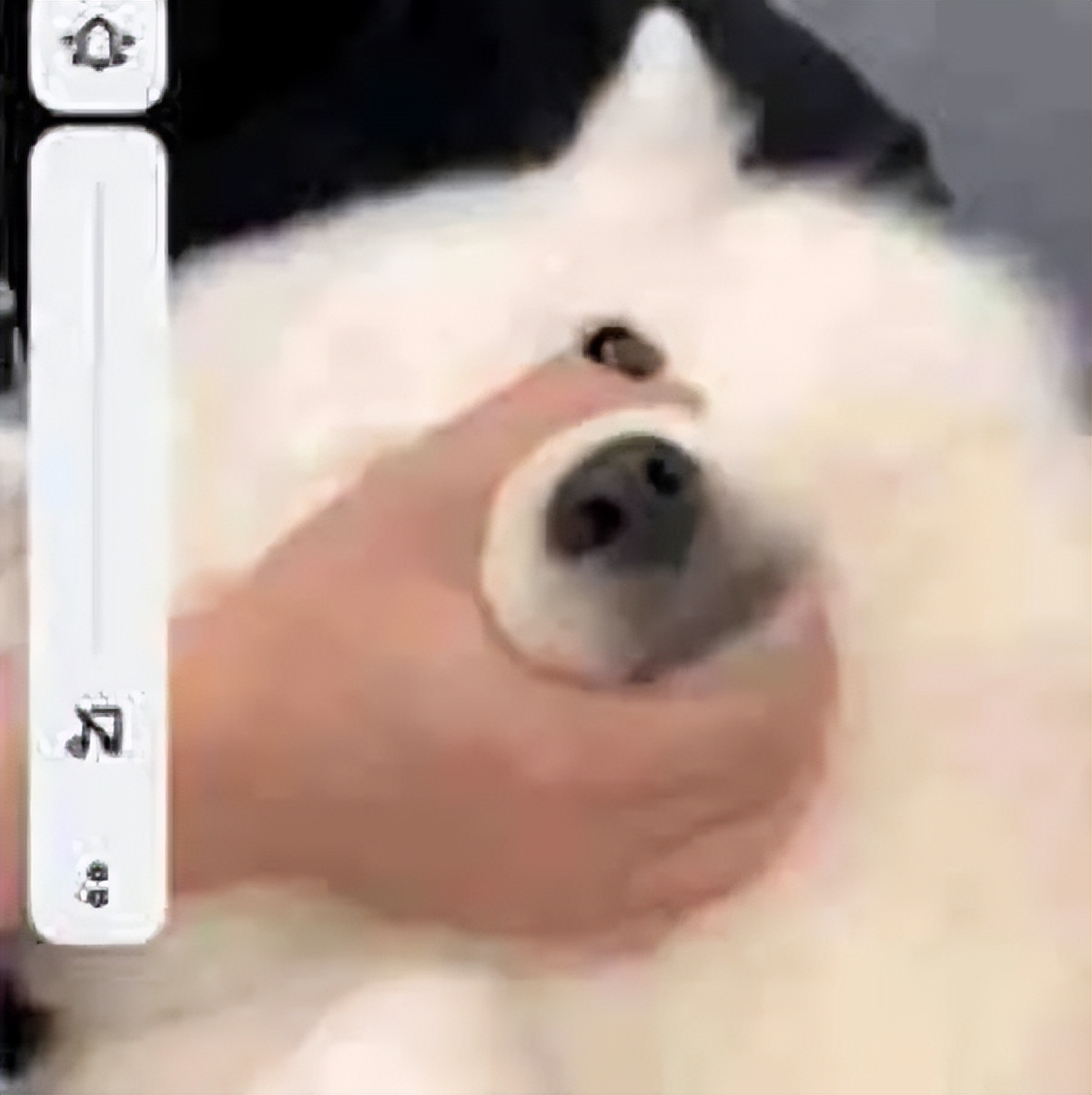 因为|什么样的人最容易被焦虑裹挟，什么样的人才最需要与自己和解呢？