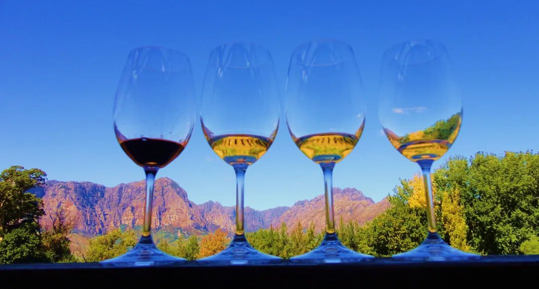 因为|牙齿染上红酒渍？这些小妙招Get起来！