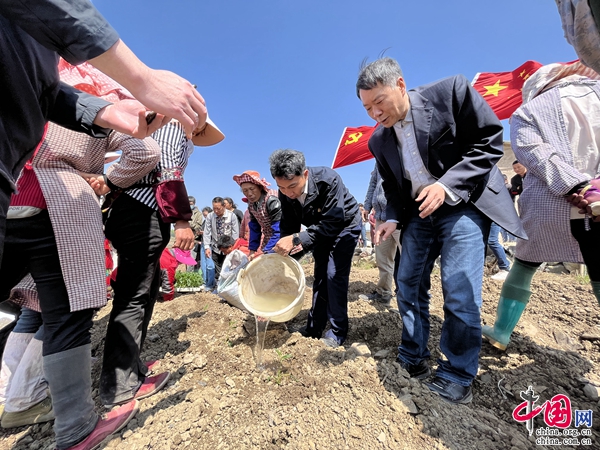 雲南石林宜奈人參果有了身份證從地裡到餐桌全程可追溯