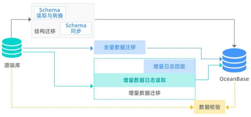 如何选择适合迁移学习项目的数据库？