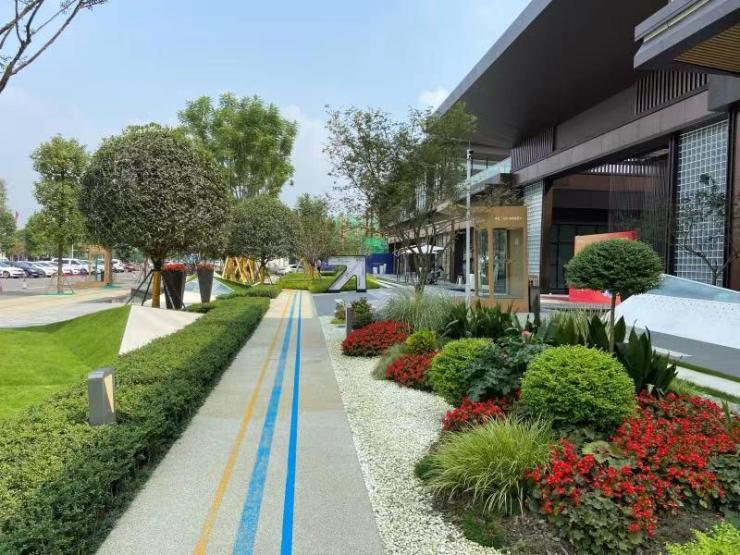 探寻公园城市示范区的未来模样 成都TOD做出怎样的实践探索?_项目_新发展_社区