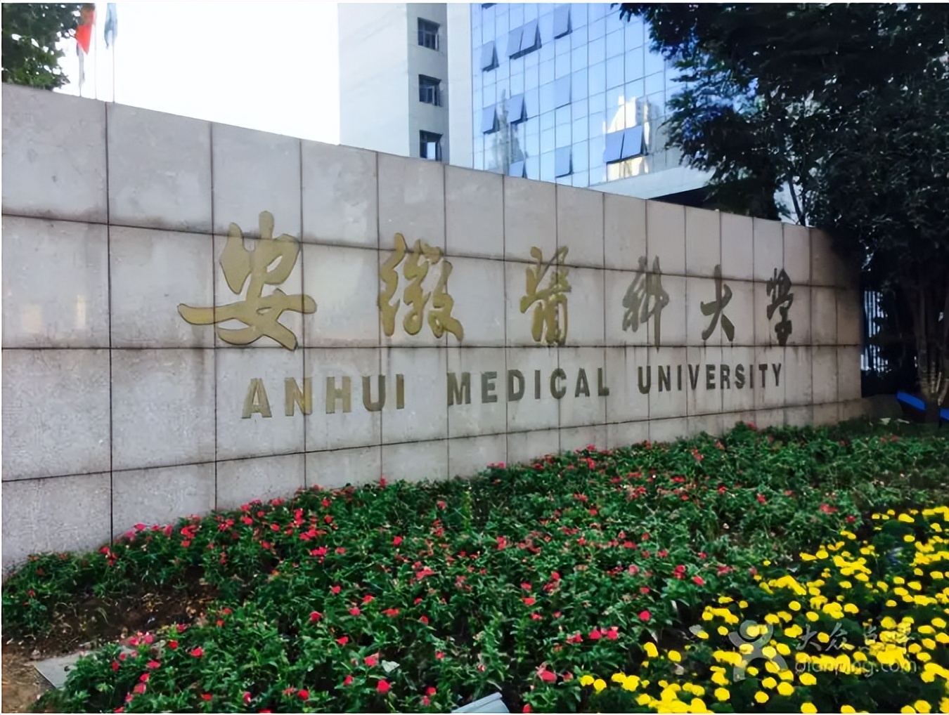 网友建议安徽大学合并蚌埠医学院官方尚无合并意向和规划