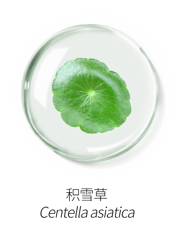 秘密CB拍拍隔离精华液 夏季底妆轻透无暇的秘密