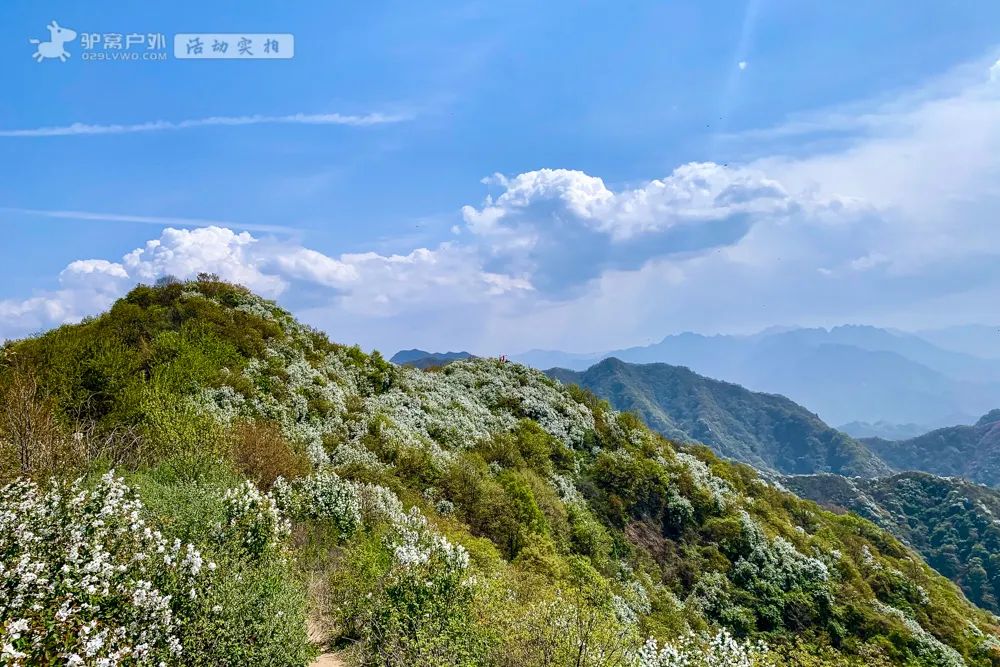 去過江南塞北能夠打動人心的風景已經很少若把黃峪寺的白鵑梅風景說是