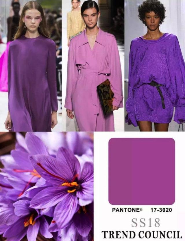 “紫色是薰衣草的颜色，它代表着神秘和忧郁，充满着浪漫和好运”