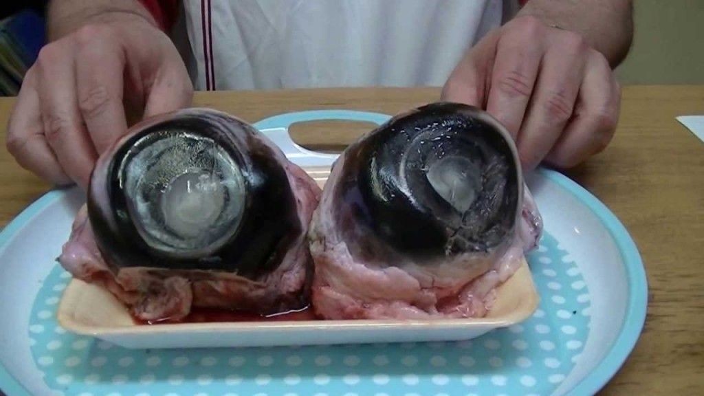 感染疯牛病的牛脑这些死羊做的饲料被健康牛吃掉之后,朊病毒通过食道
