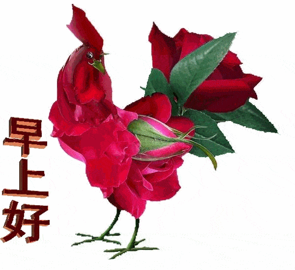 原创8张聊天不用打字的早上好动态图片大全春天早晨好问候祝福动态