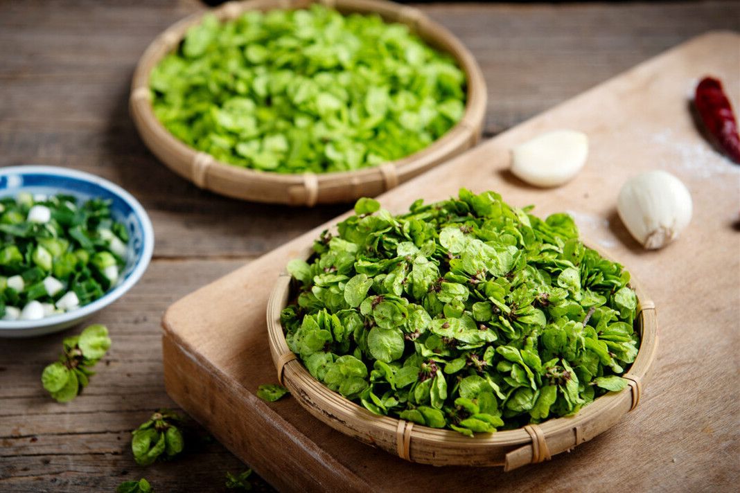 清明前后,碰上5种"树上菜"别手软,季节性很强,错过再等一年_野菜_榆钱