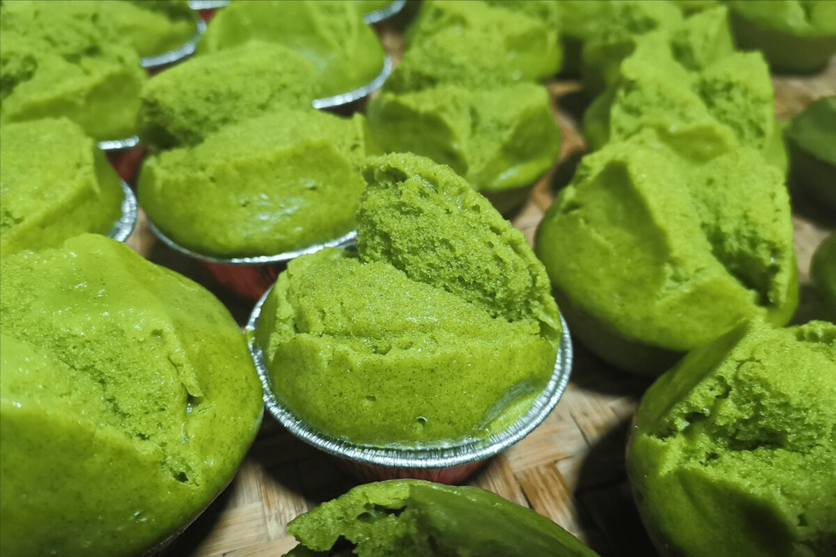 朴子_树叶_朴树