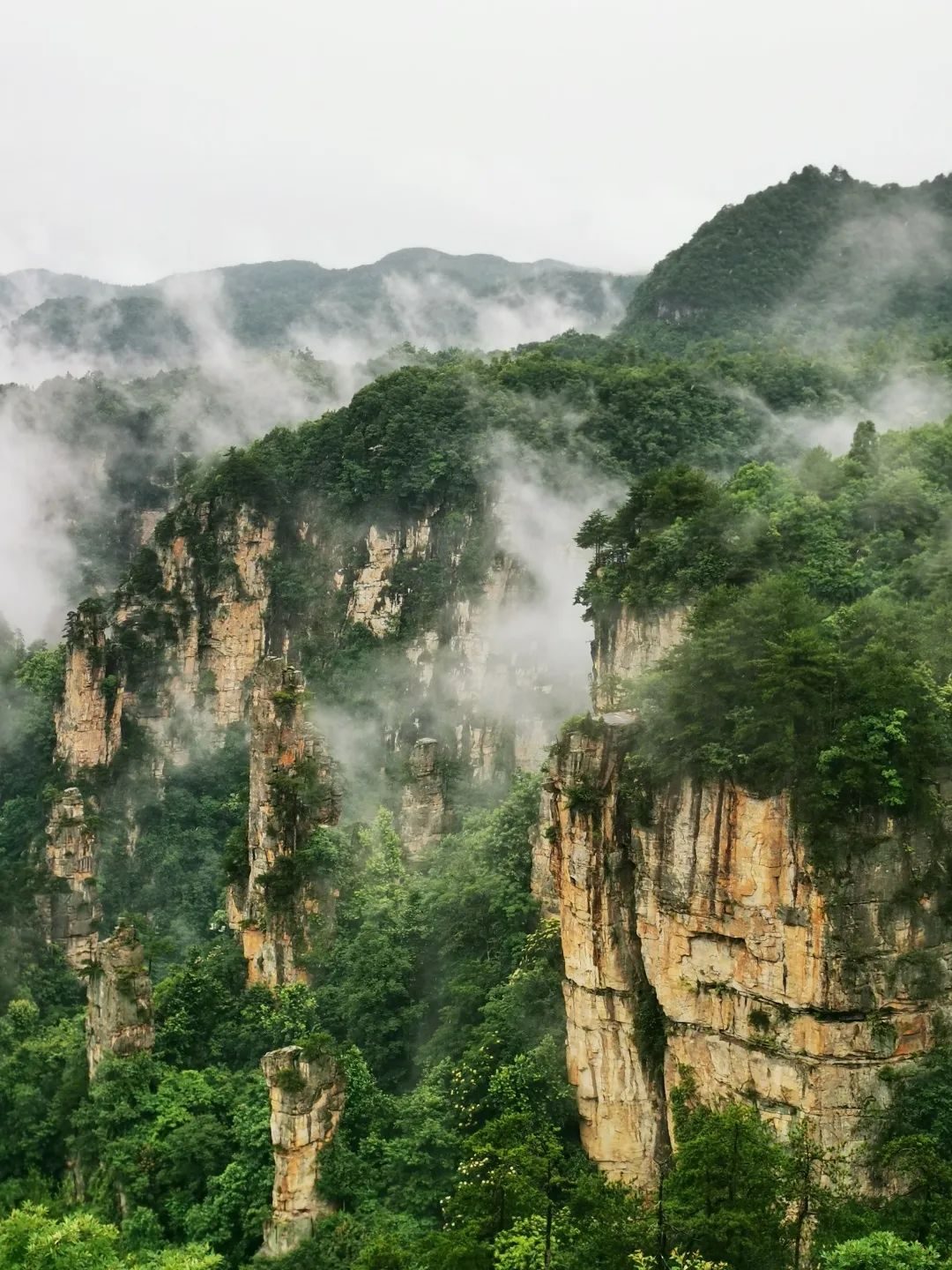 邂逅之旅武陵源