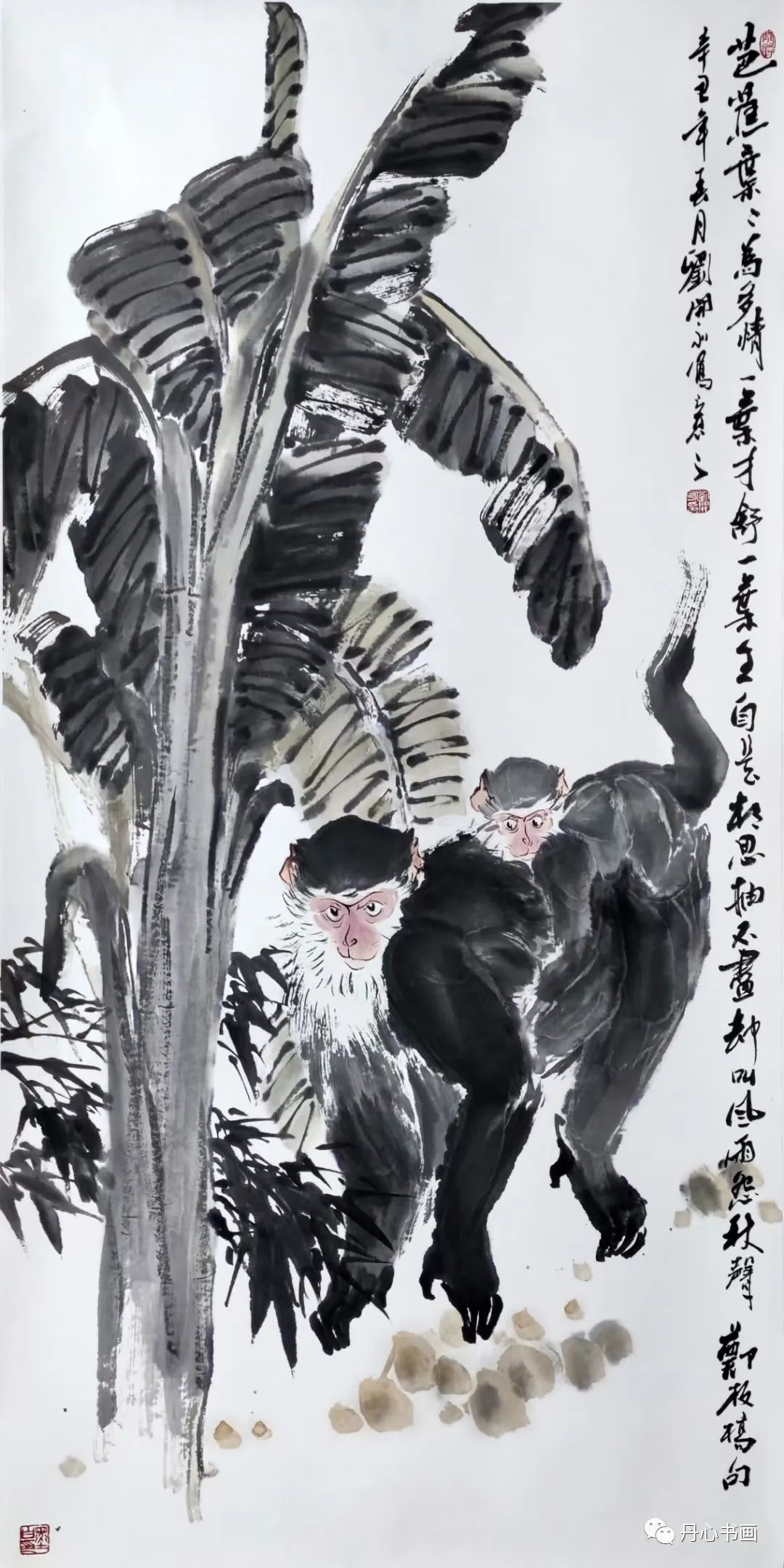 生动活泼,妙趣横生|画家刘开永猴画艺术_灵猴_中国_国画